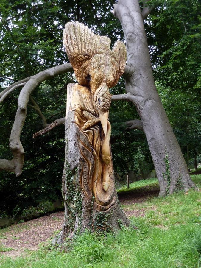 Sleepy Hollow Holiday Home Knaresborough Zewnętrze zdjęcie